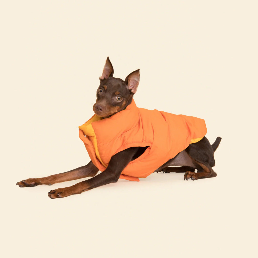 The Super Duper Reversible Parka Vest - Light Orange & Orange