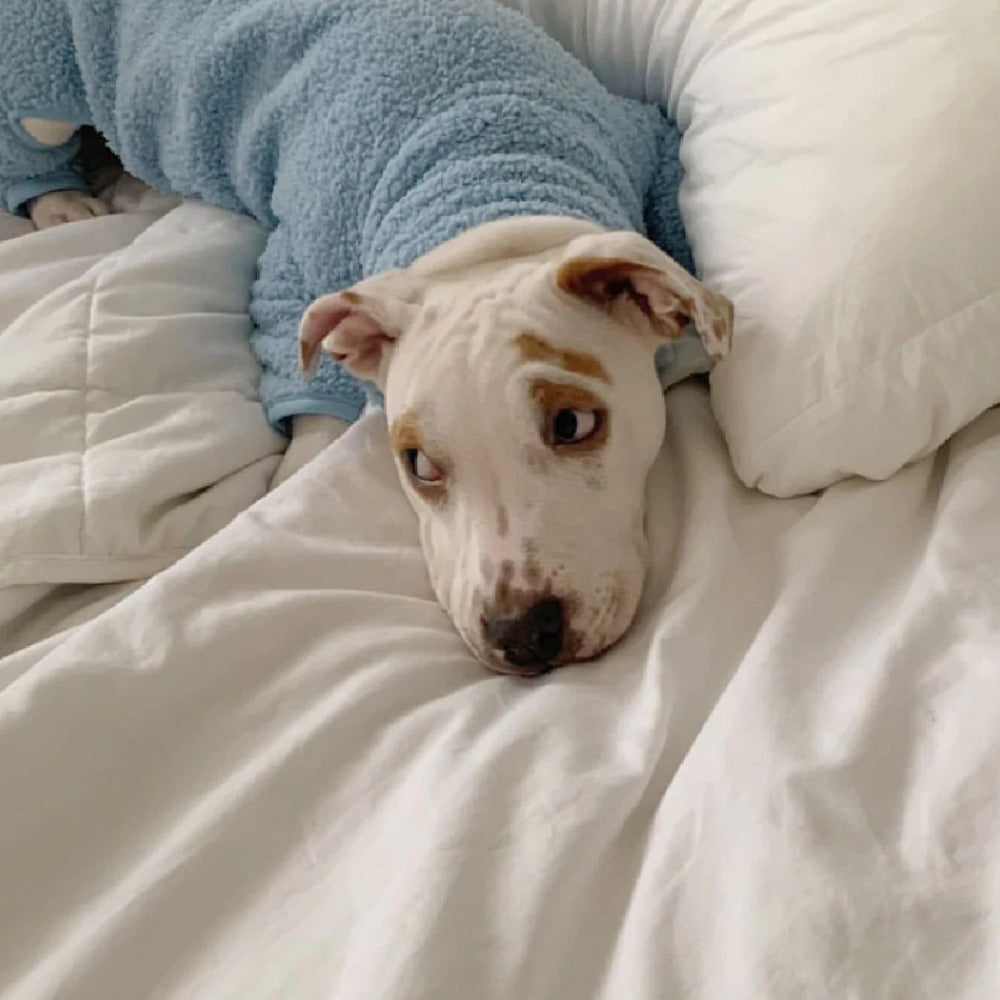 Cloud Nine Fleece Onesie