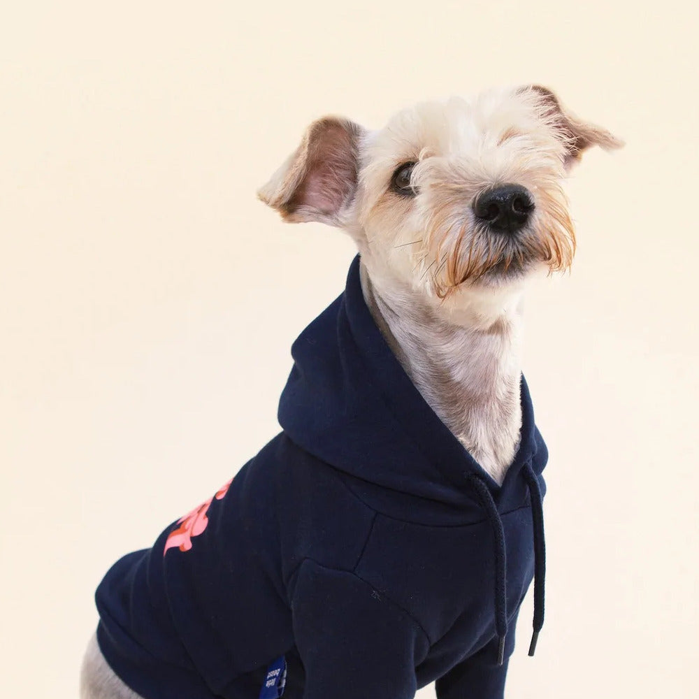 Little Beast Hoodie - Navy