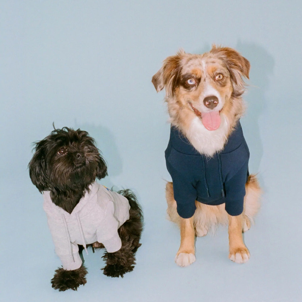 Little Beast Hoodie - Navy