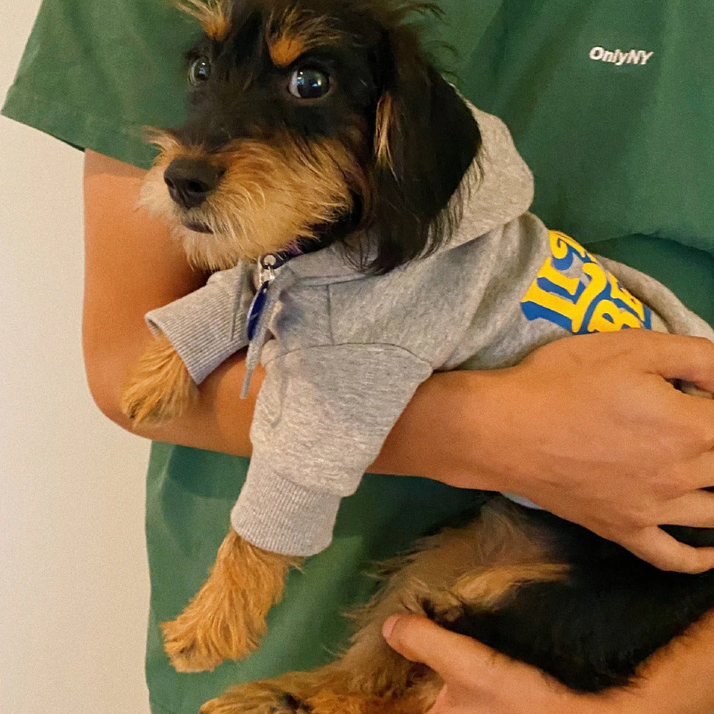 Little Beast Hoodie - Gray